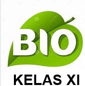 BIOLOGI KELAS XI